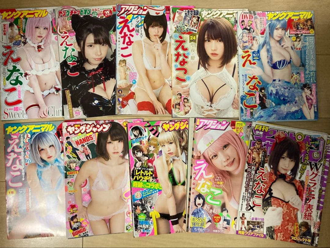 えなこ　クリアファイルセット　その他