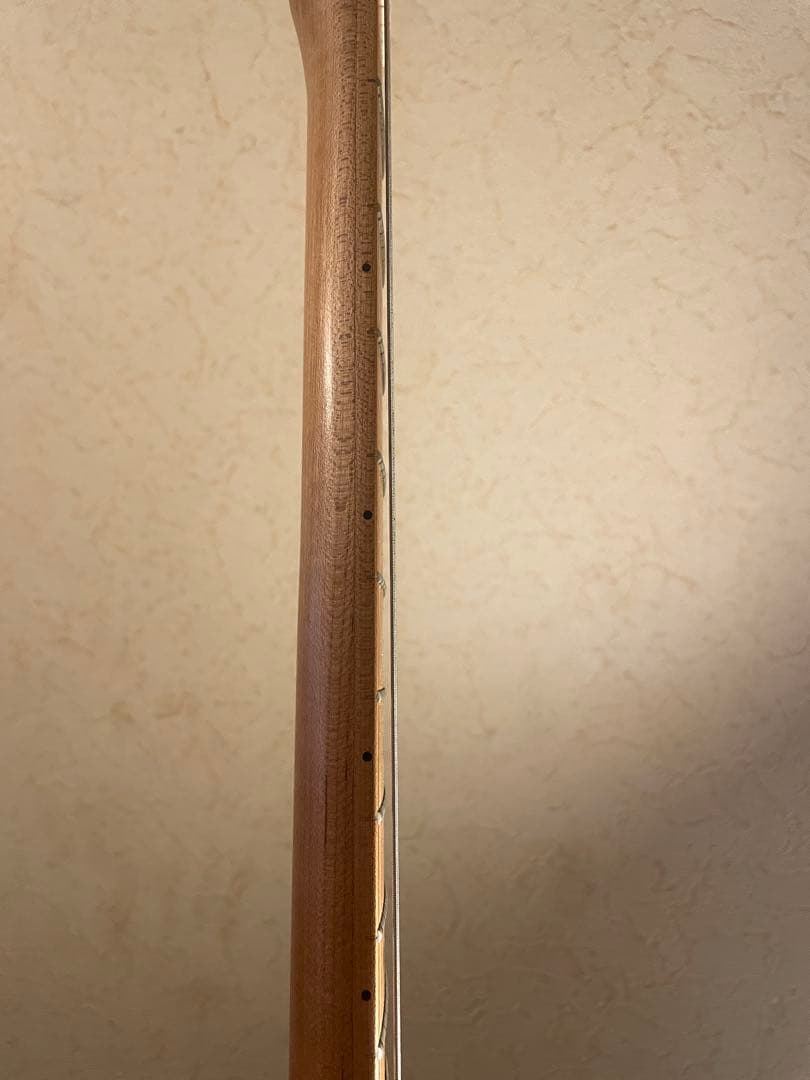 Bacchus バッカス　エレキギター　bst1