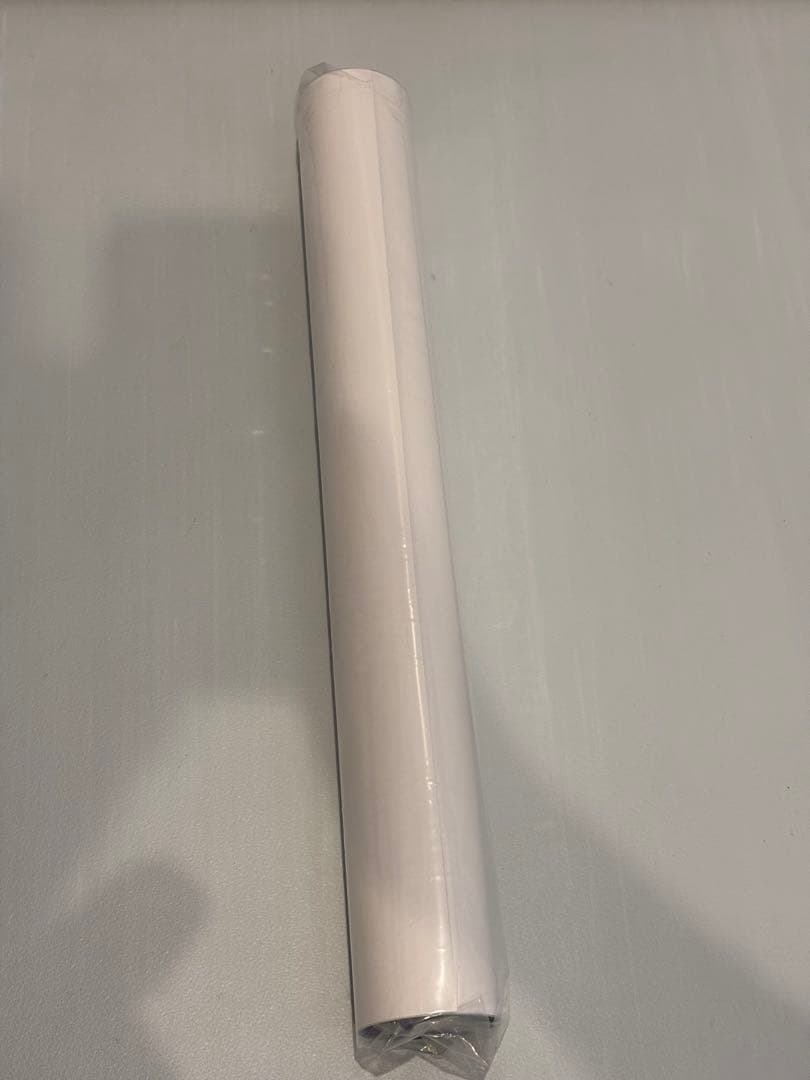 DANIEL ARSHAM ダニエルアーシャム ポケモン A2サイズポスター