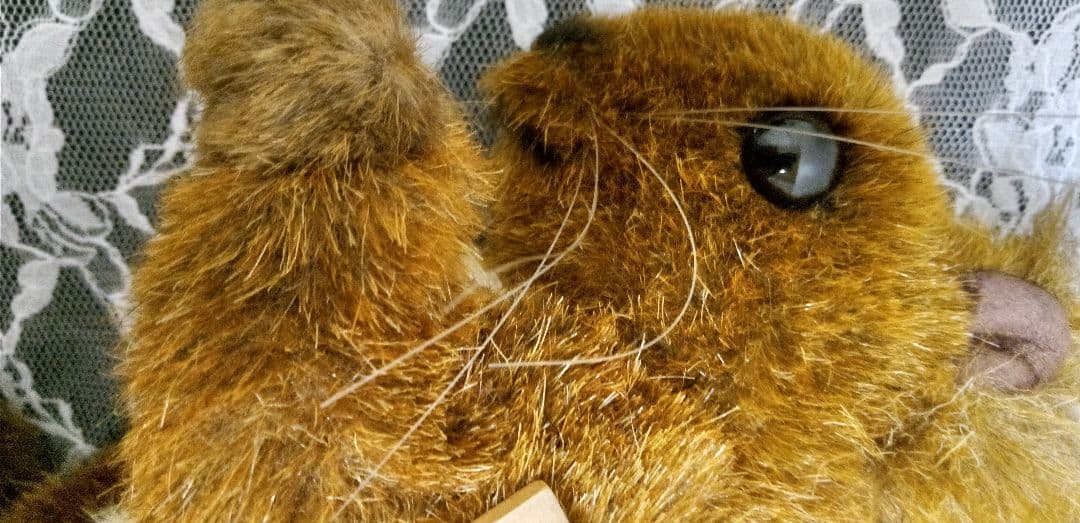 ケーセン KOSEN　ドイツ製　リス　ぬいぐるみ