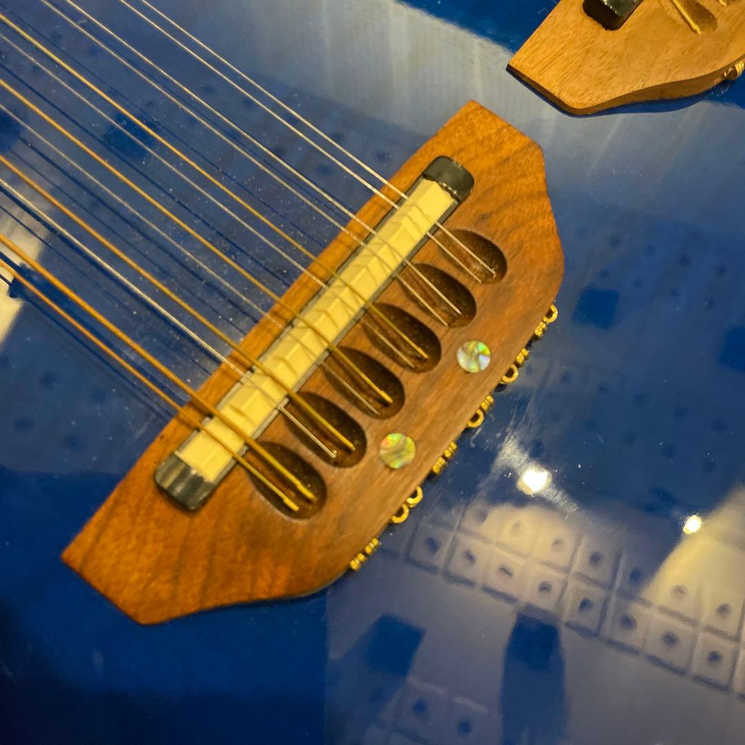 オベーション セレブリティ CSE225 ダブルネック 12弦&6弦 送料込