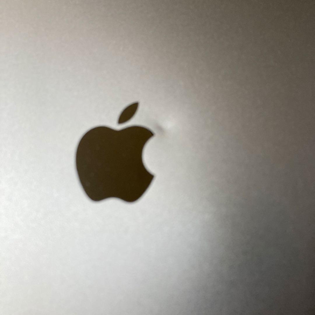 iPad mini 第4世代 128GB otterbox