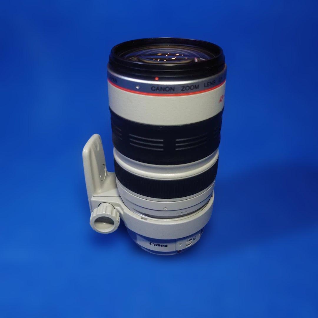 【訳あり】Canon Zoom EF35-350mm f/3.5-5.6L