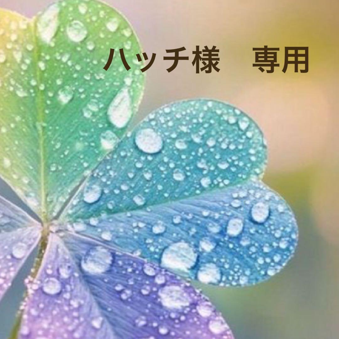 ポケモン　ブースター　等身大ぬいぐるみ　おまけ付き