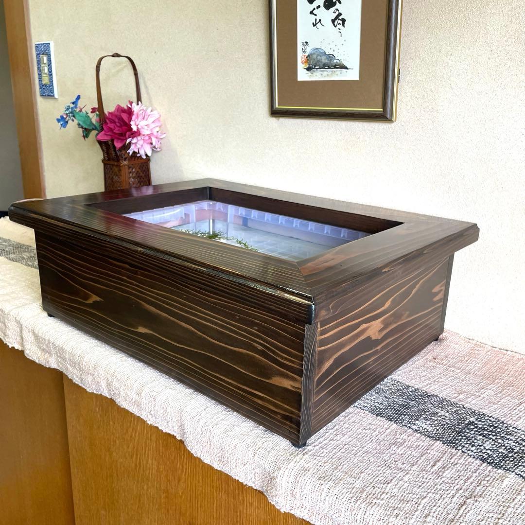 新作 NV13BOX専用 横見木枠 横見ケース メダカ めだか ビオトープ