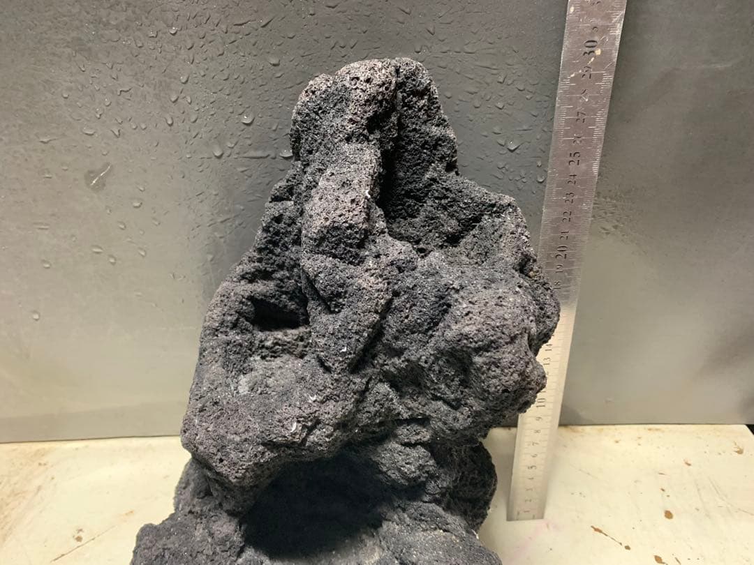 2[絶版]ADA雲山石3.5キロ★穴3個　水槽　レイアウト　アクアリウム　60