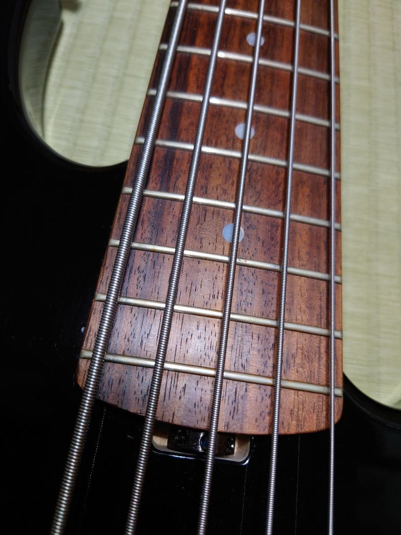 ESP AP-SL5 5弦ベース ESP純正ソフトケース(GIG BAG)付き