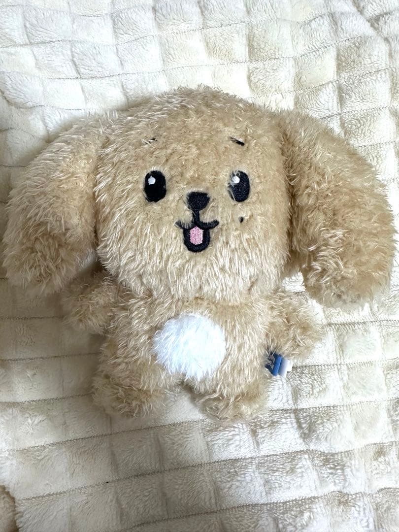 SEVENTEEN MINITEEN ドア DOA ぬいぐるみ プラッシュトイ