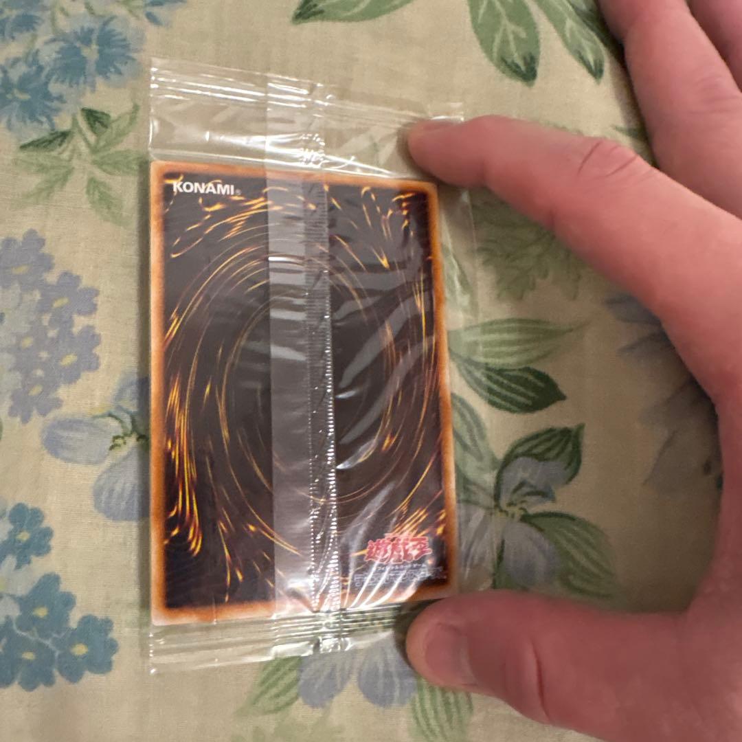 ワタポン　未開封