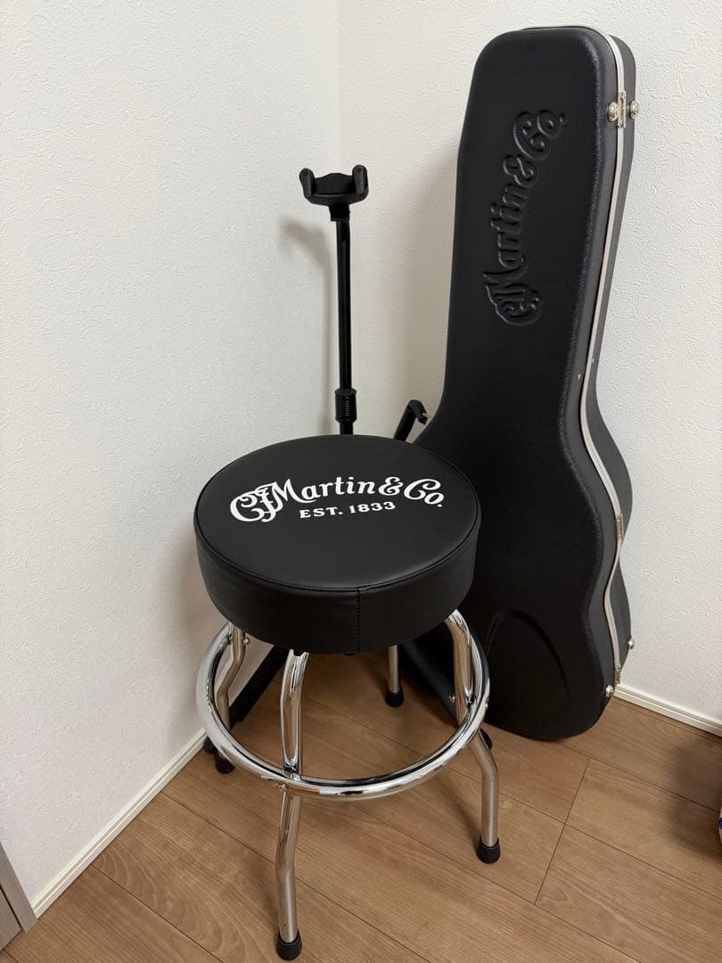 《直接限定》Martin & Co. ooo-28 アコースティックギターセット