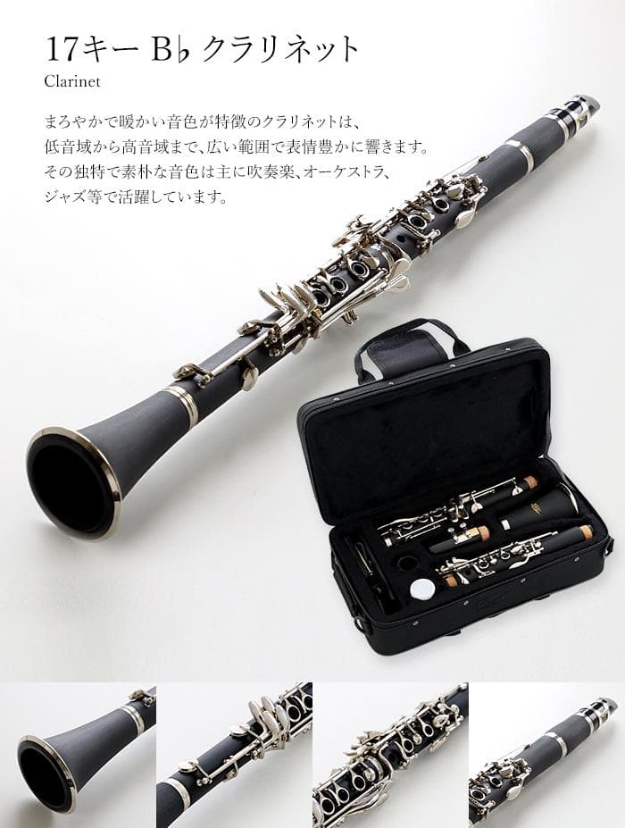 新品 未使用 送料無料 クラリネット セット 予備 リード付