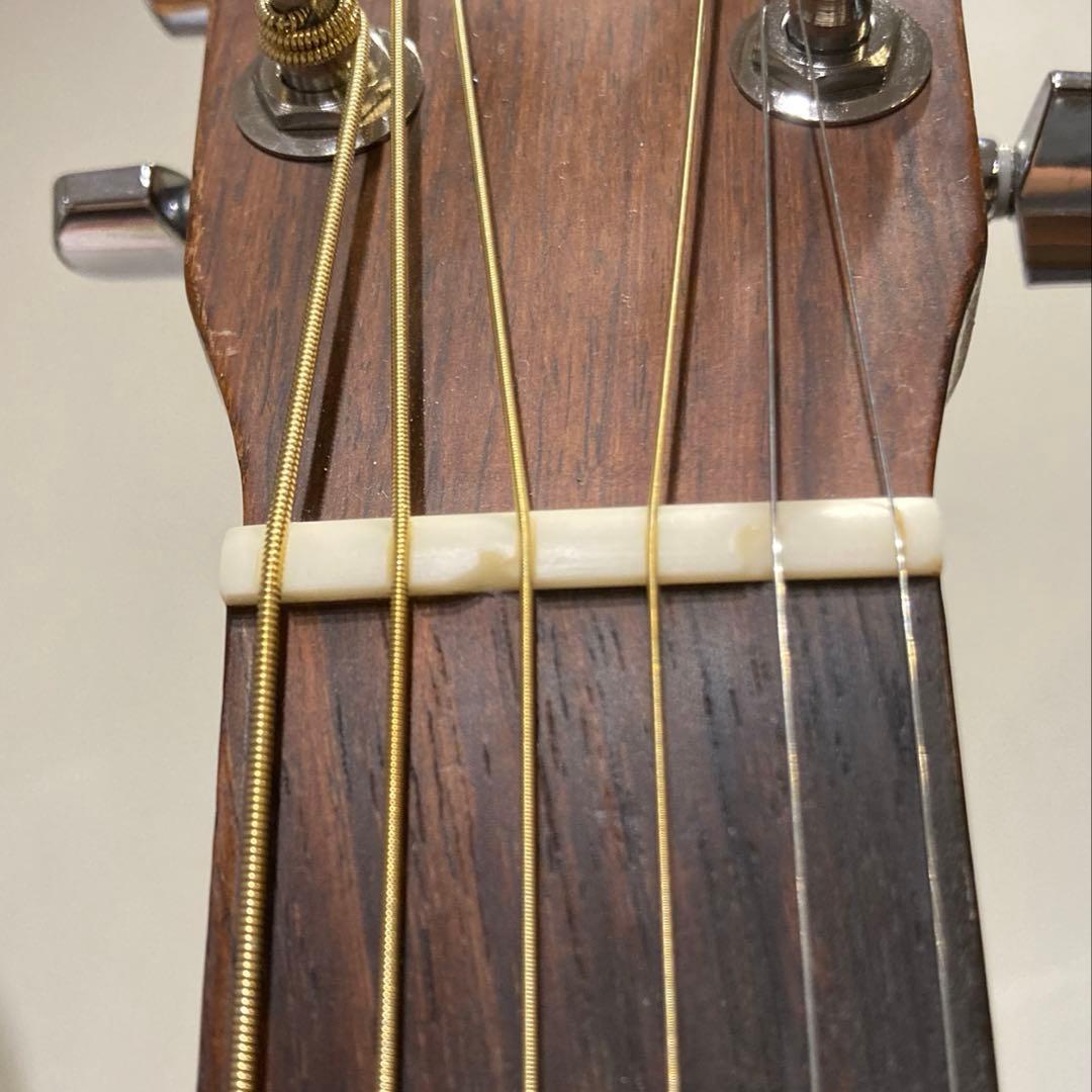 Martin DM RITTERケース Martin段ボール箱付　 訳あり