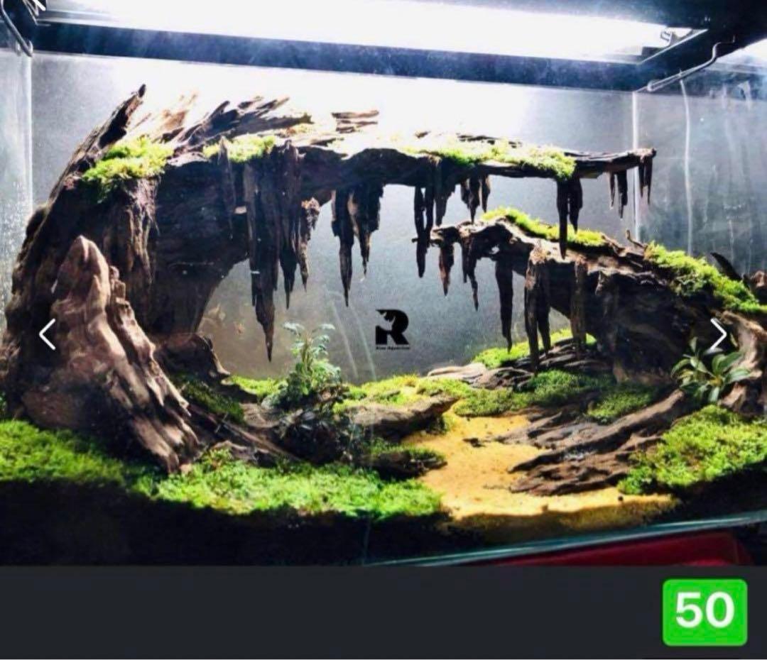 ブランチウッド　．水草用の 流木。流木アクアリウム　. パルダリウム　盆栽流木