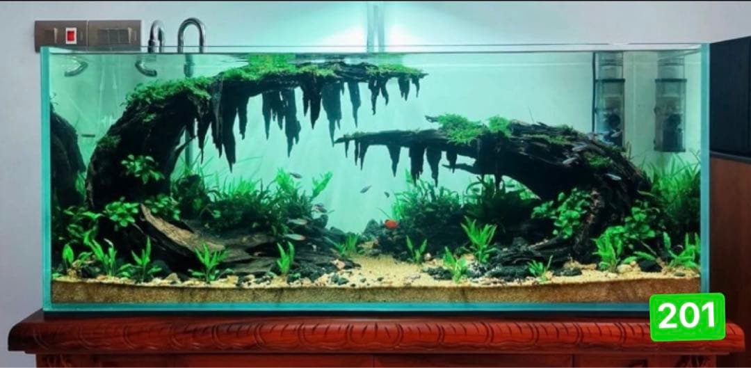 ブランチウッド　．水草用の 流木。流木アクアリウム　. パルダリウム　盆栽流木