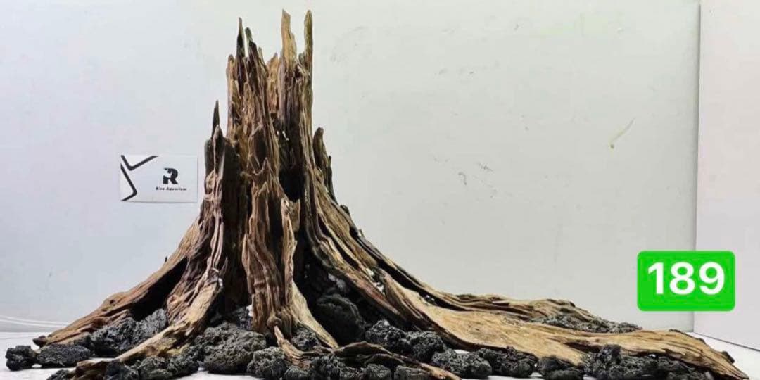 ブランチウッド　．水草用の 流木。流木アクアリウム　. パルダリウム　盆栽流木