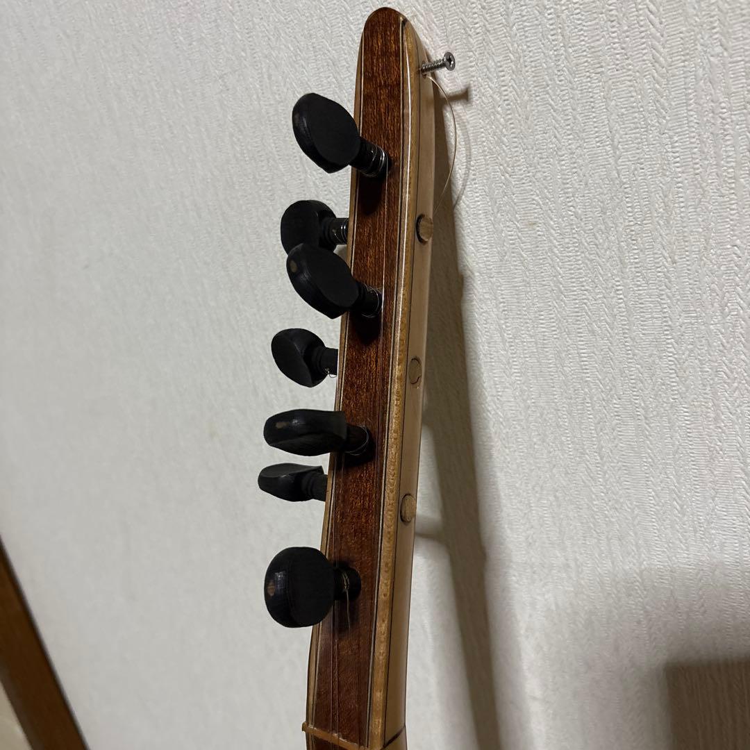 サズ　バーラマ エレキサズ　トルコ　民族楽器　弦楽器　リュート ギター