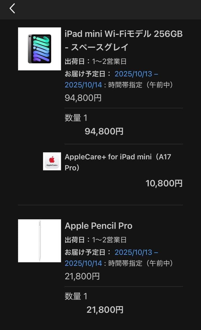 iPadmini Wi-Fi256GBグレー+Apple PencilPro