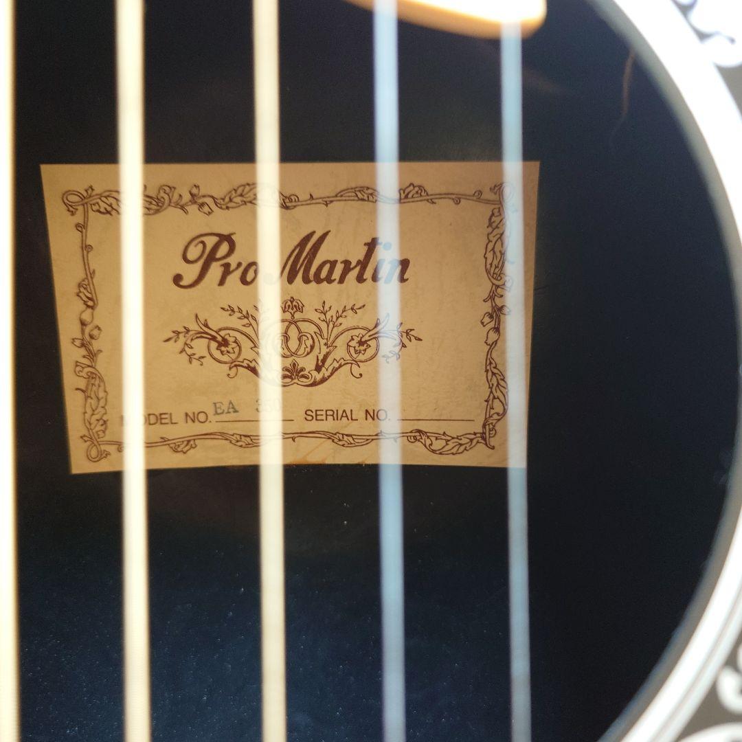 エレアコースティックギター プロマーチン