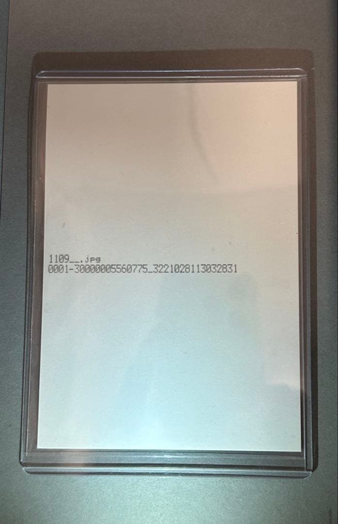 バンドリ MyGO!!!!! 迷星叫 特典ブロマイド 立希