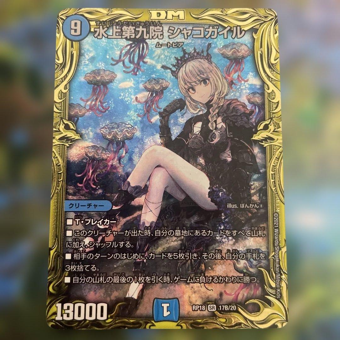 水上第九院　シャコガイル　b