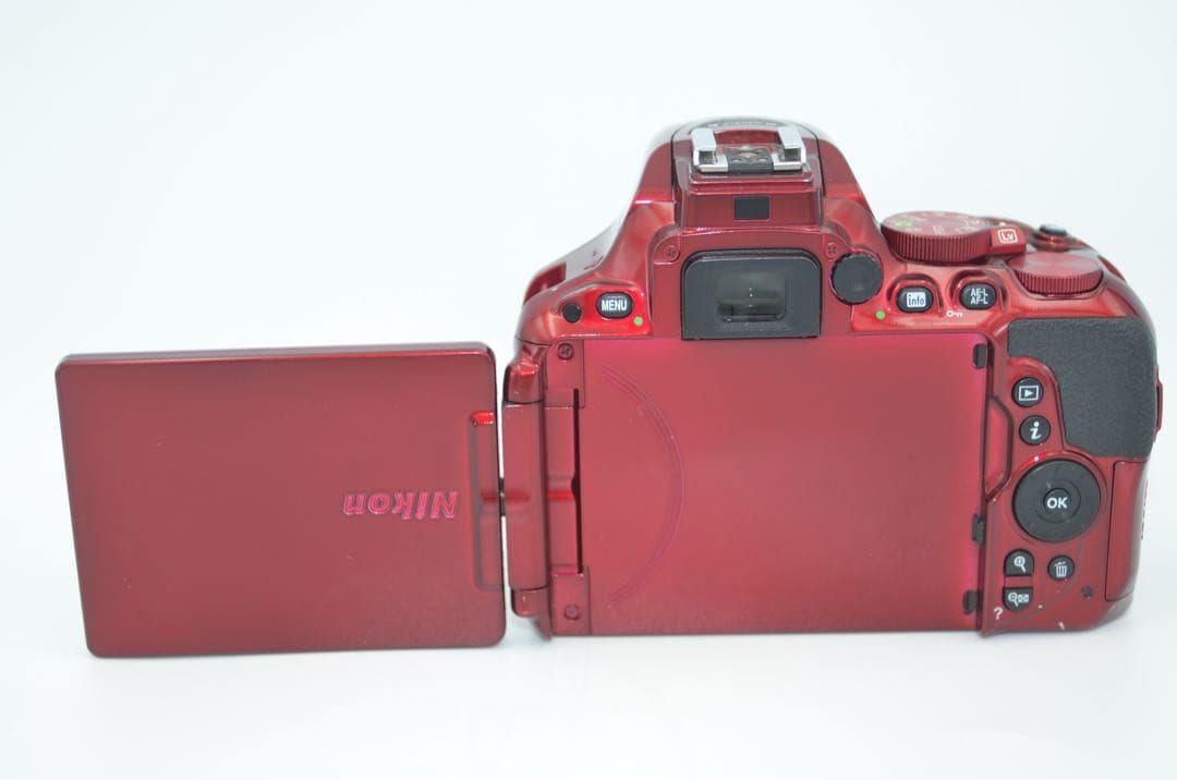 Nikon D5500 レンズセット Wi-Fi機能付き