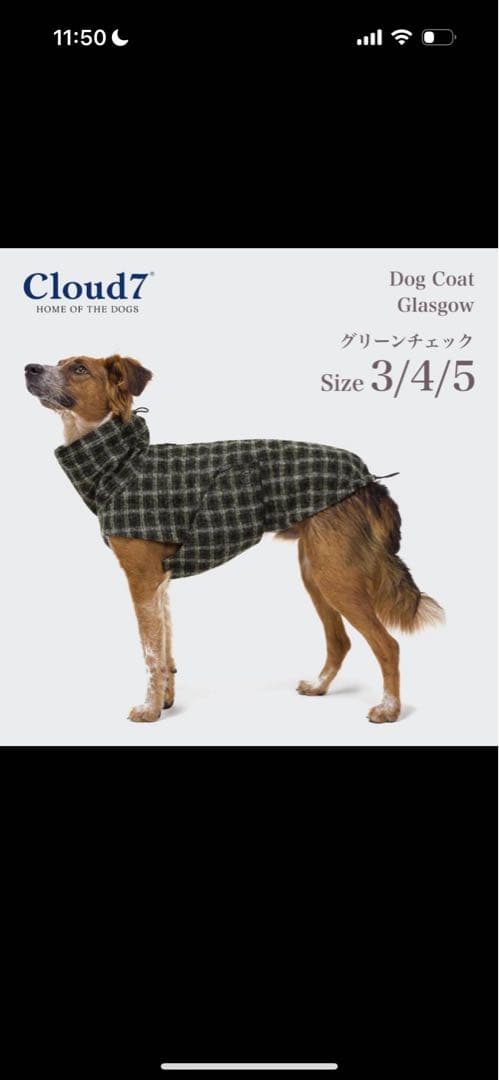 Cloud7 クラウド グラスゴー グリーンチェック SIZE3