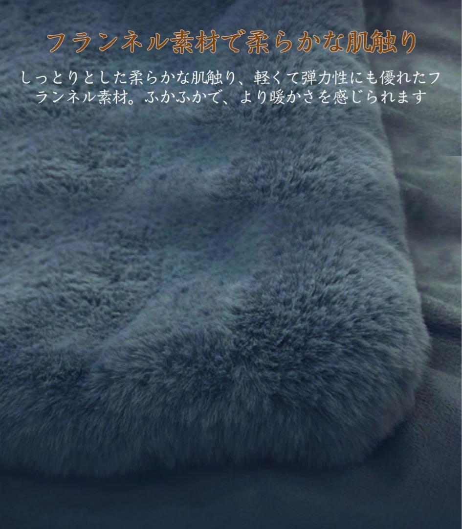 電気毛布 掛け敷き兼用 コントローラ&洗濯ネット付188*130cmブルー　2枚