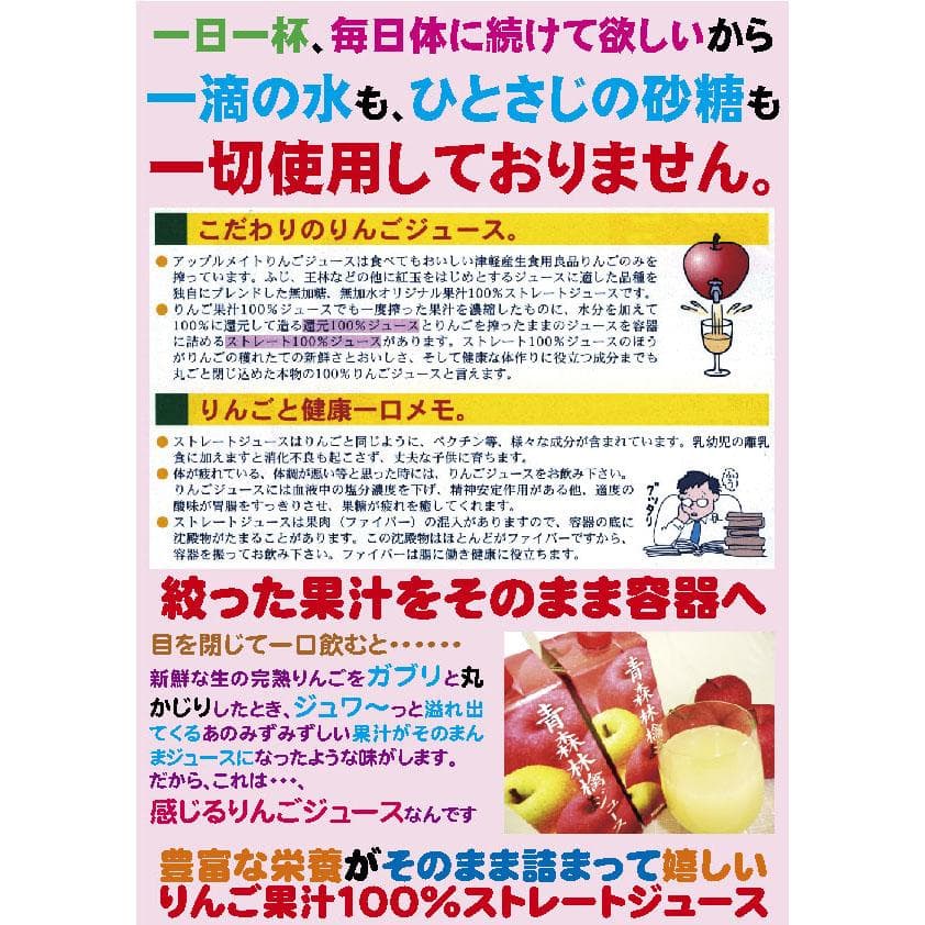 果汁100%アップルメイトりんごジュース1000ml紙パック15本入