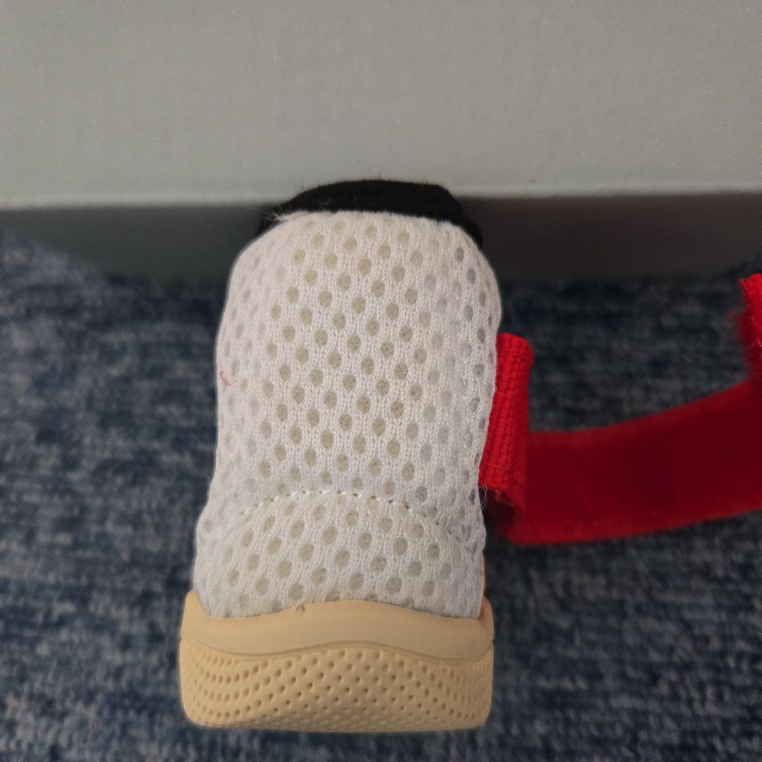 RIFRUF Caesar 1S サイズ １ 犬用 シューズ