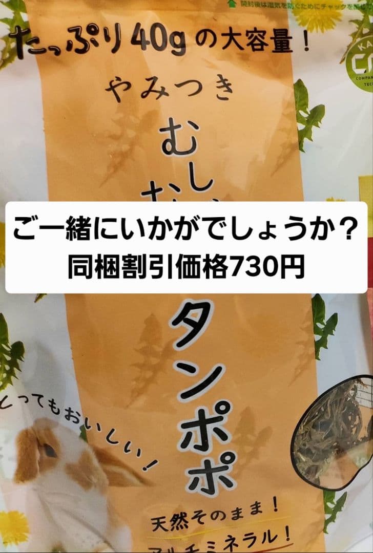 【まとめ買い大特価】新リニューアル品　モルモットセレクションプロ600g×10袋