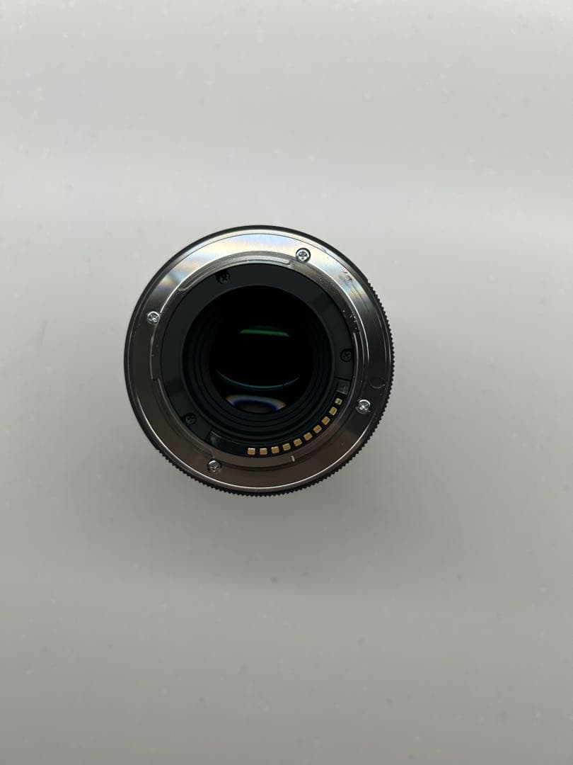 SIGMA 30mm F1.4 DC DN｜Sony Eマウント オマケあり