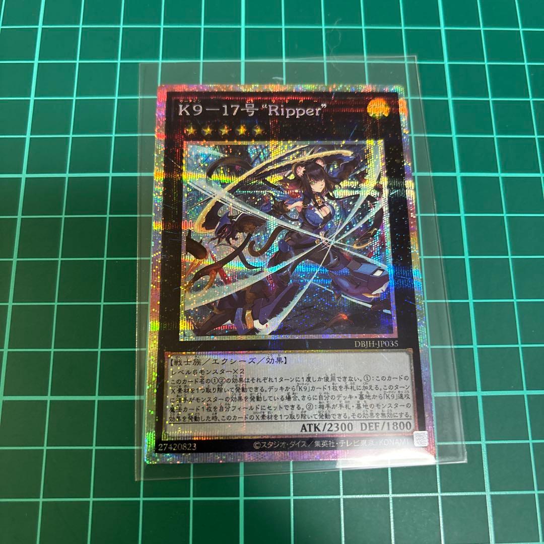 K9 17号リッパー プリシク