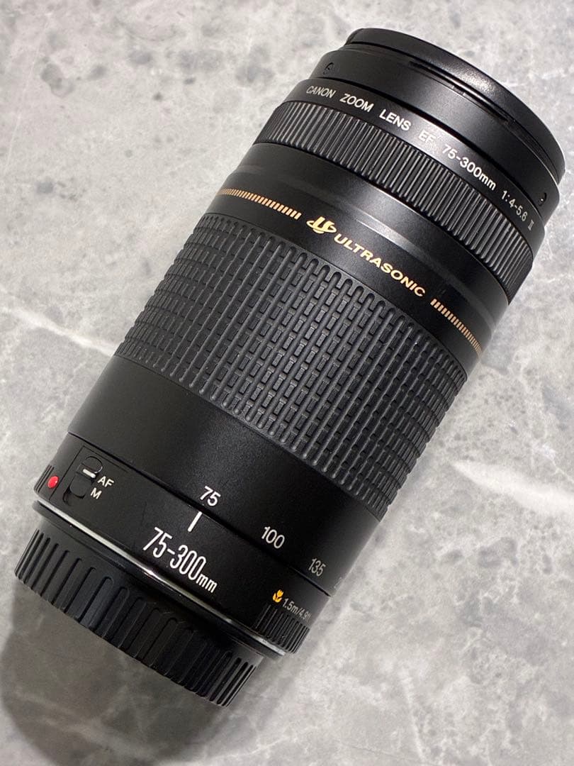 ⭐️美品⭐️Canon EF75-300mm F4-5.6 II USM 望遠レンズ