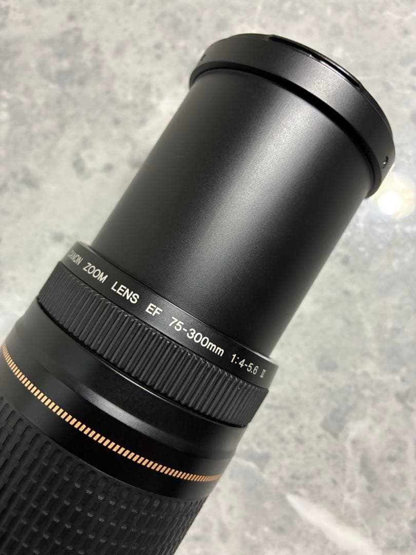 ⭐️美品⭐️Canon EF75-300mm F4-5.6 II USM 望遠レンズ