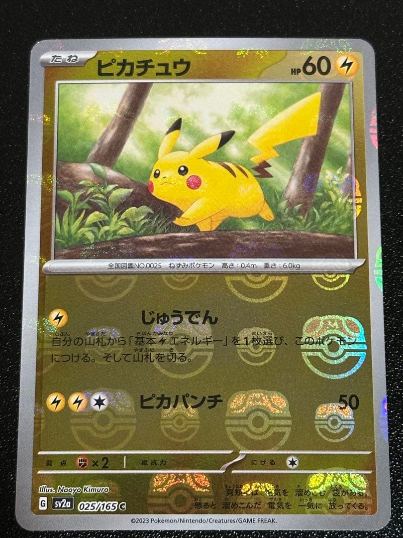 ピカチュウ マスターボールミラー