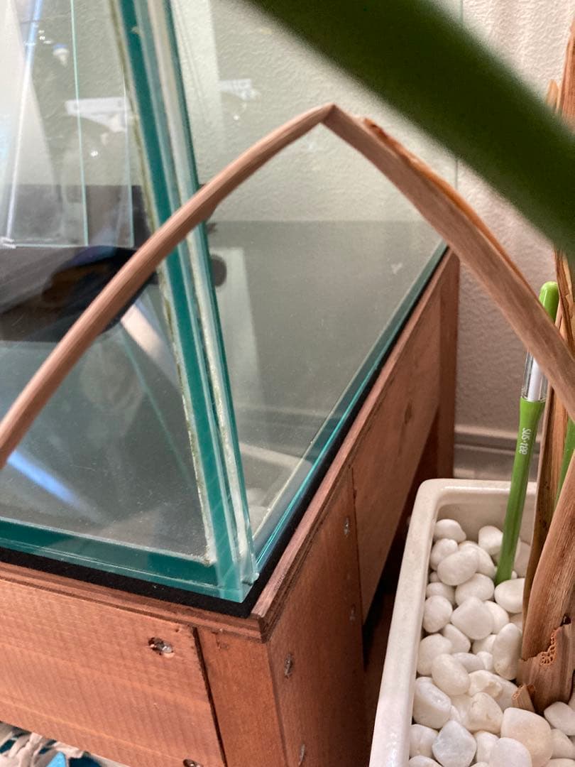 90cmガラス水槽 gex ※オーダー水槽台、その他備品付 90×45×45