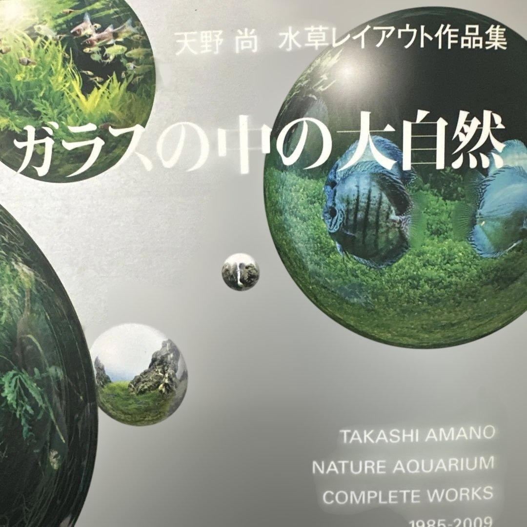 ガラスの中の大自然 天野尚