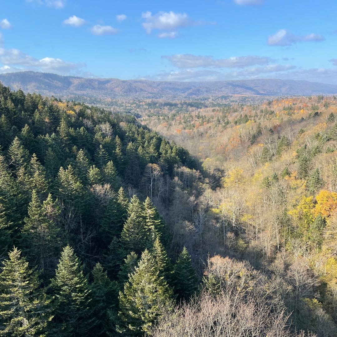 鹿ジャーキー犬用2.８キロ＆鹿ジャーキー犬用 アキレス腱1.２キロ