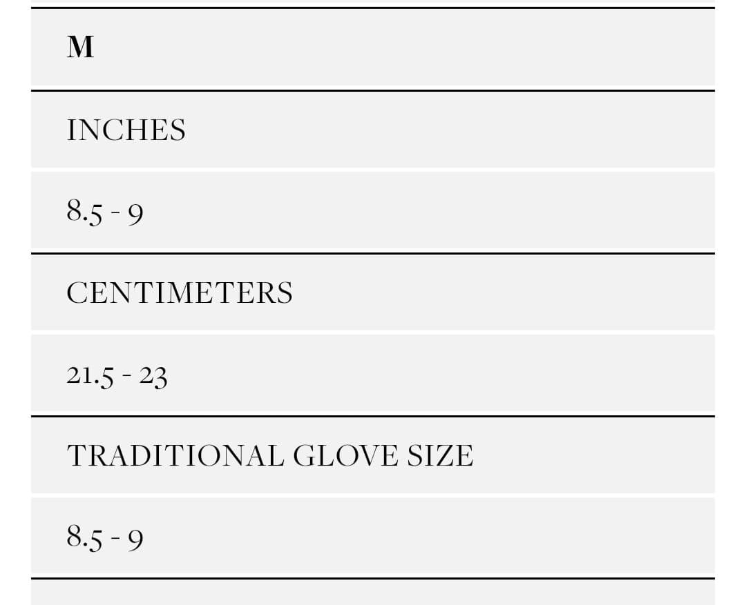 Dents　Westbury タッチパネル対応 レザー手袋