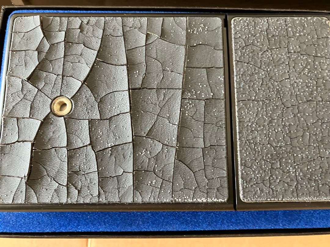 ぬ*ぬ様 POLAROID SLR680 カメラ