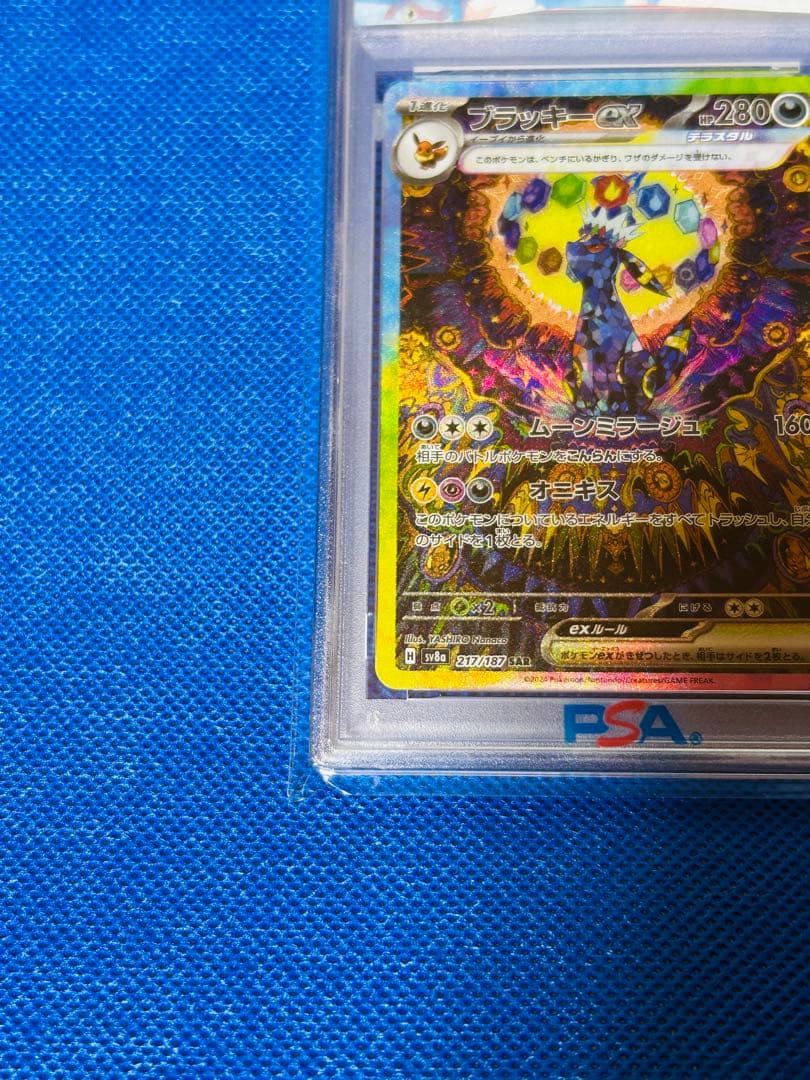 PSA10 ブラッキーex SAR テラスタルフェスex