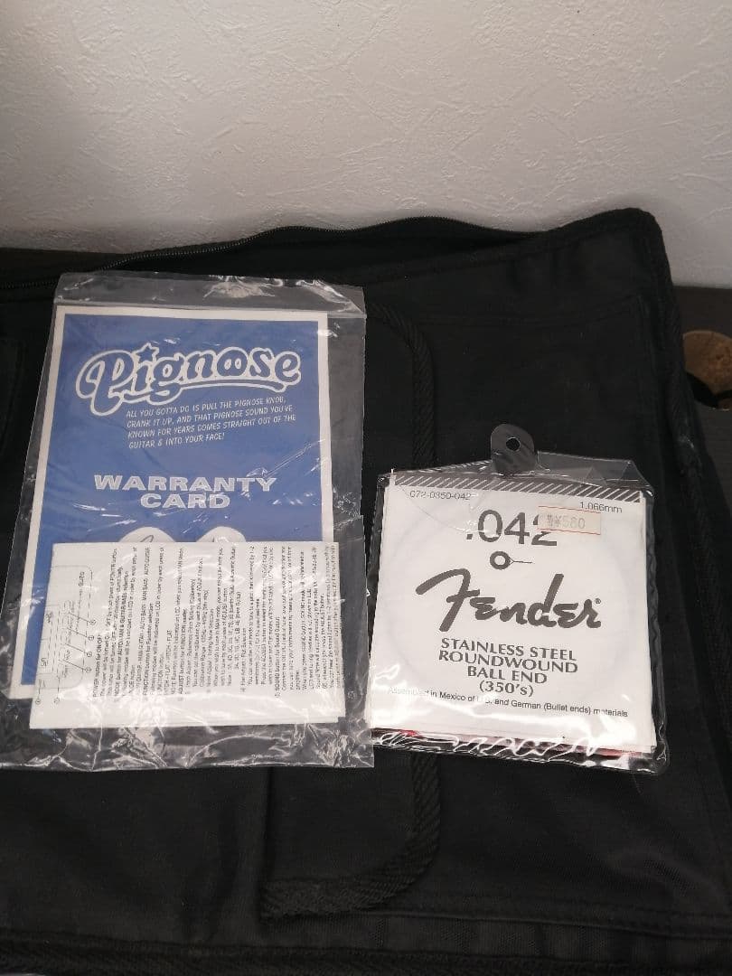 最終値下げソフトケース付き【良品】Pignose ピグノーズ PGG-200