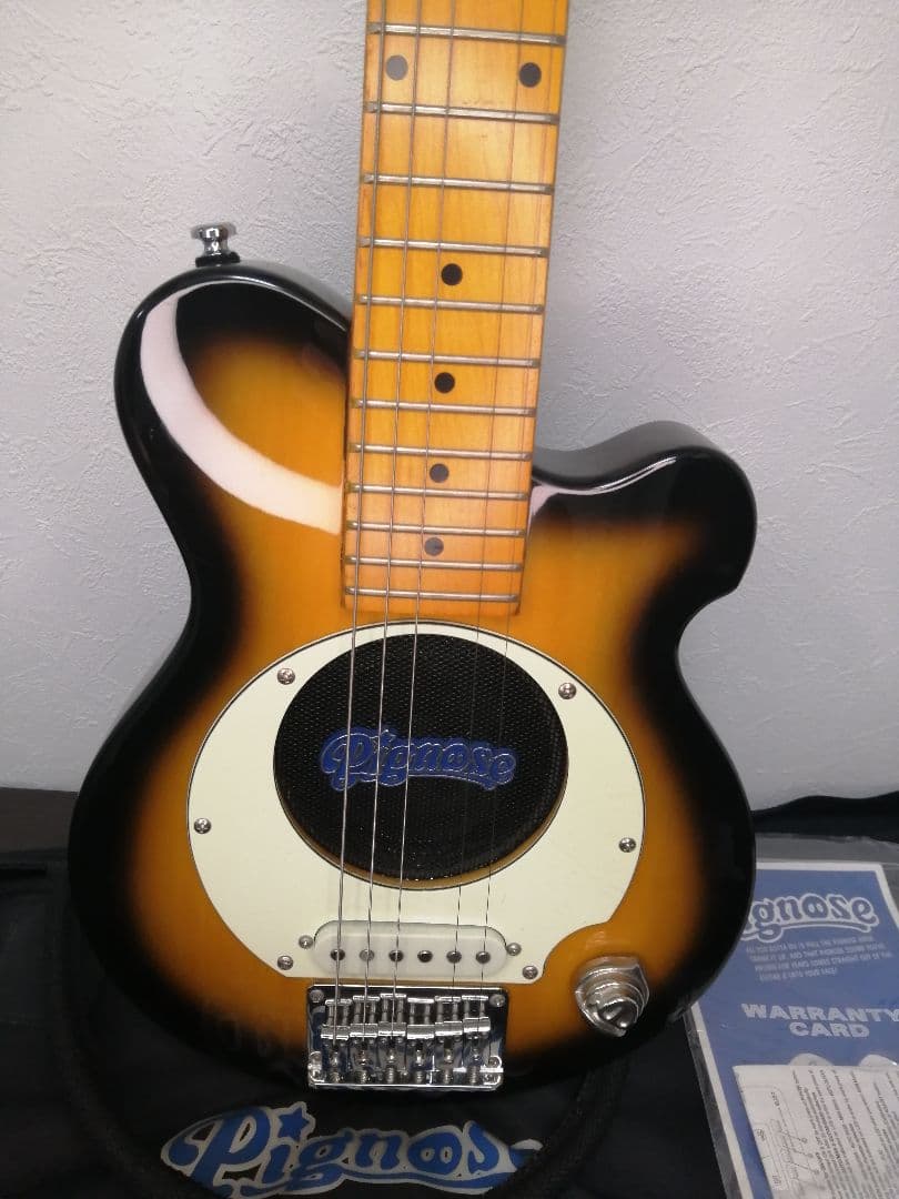 最終値下げソフトケース付き【良品】Pignose ピグノーズ PGG-200