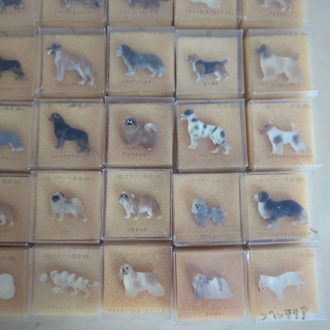 コラソン商会　犬シリーズ　犬　バッジ　犬ピンバッジ　まとめ売り　30個