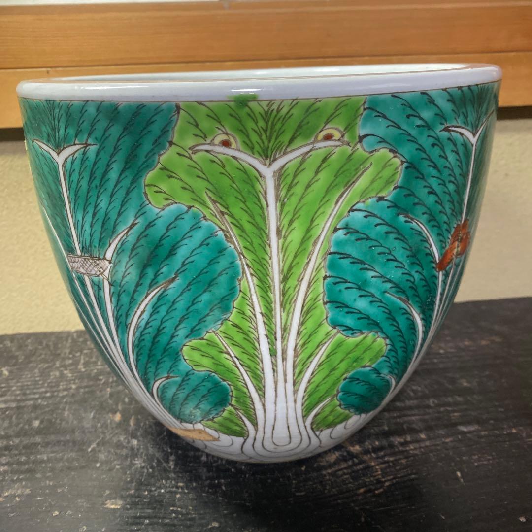 中国古玩　春白菜図水蓮鉢