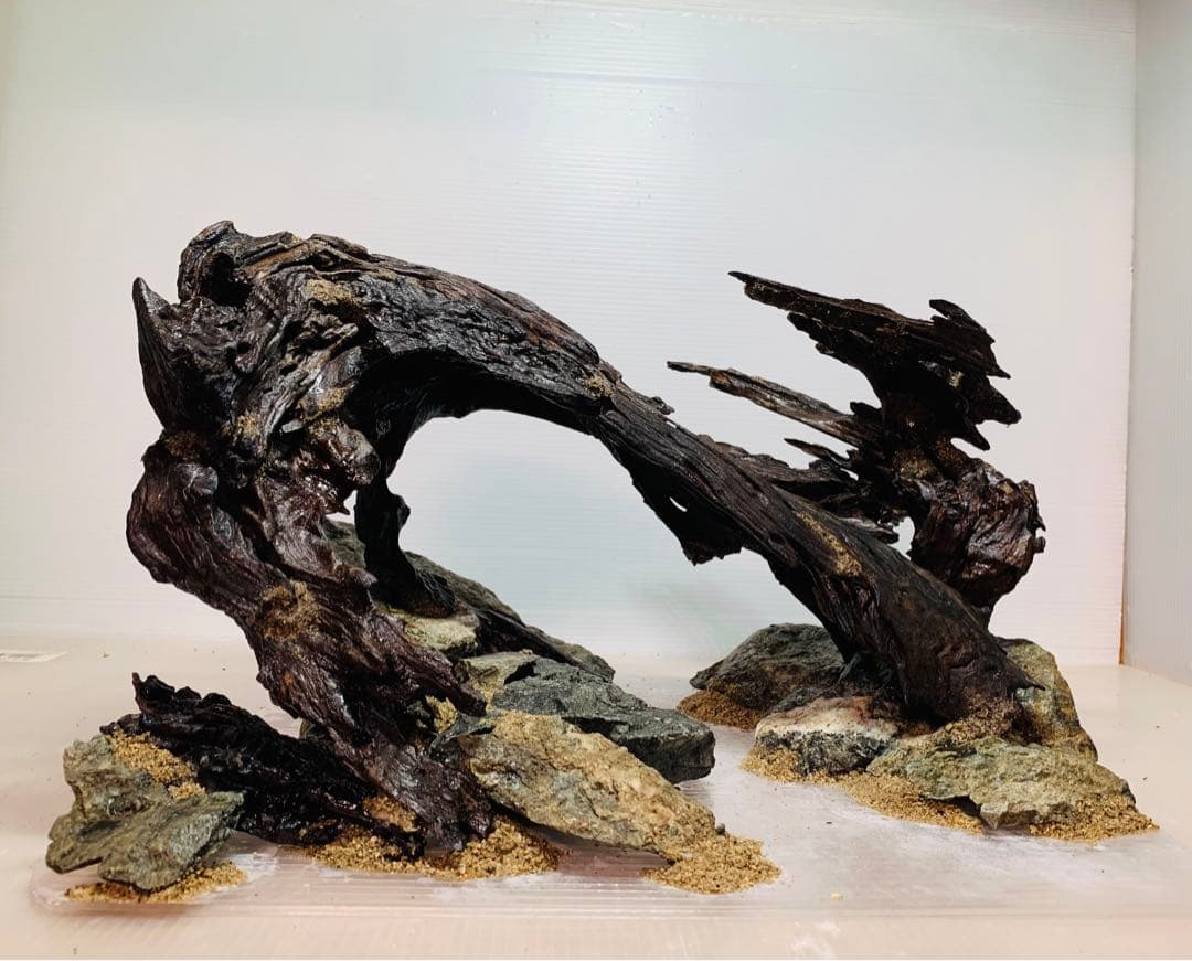 TTD 【ぎん様⭐︎】【美品・数量限定】