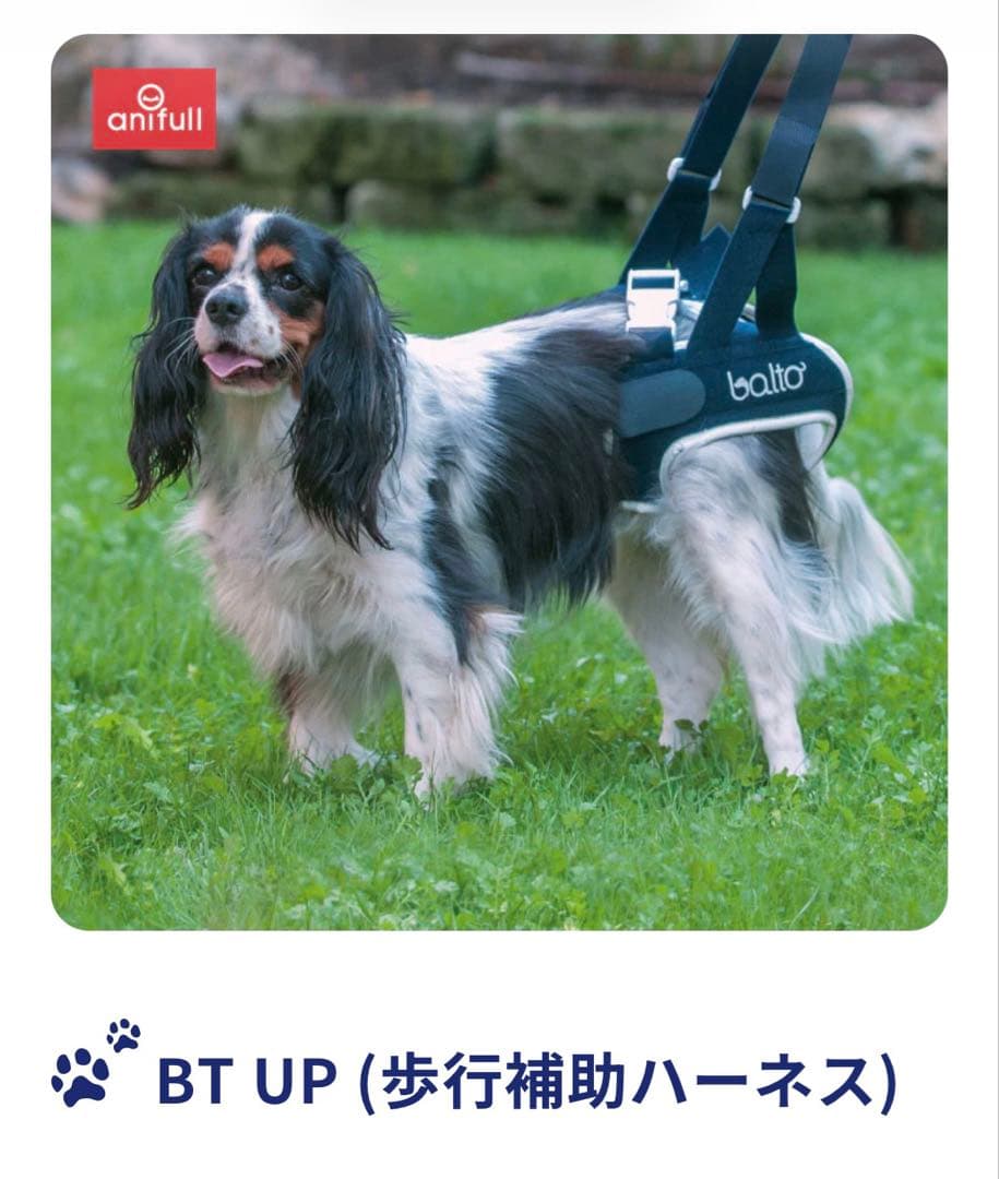 antfull BT LIFE 股関節サポーター S