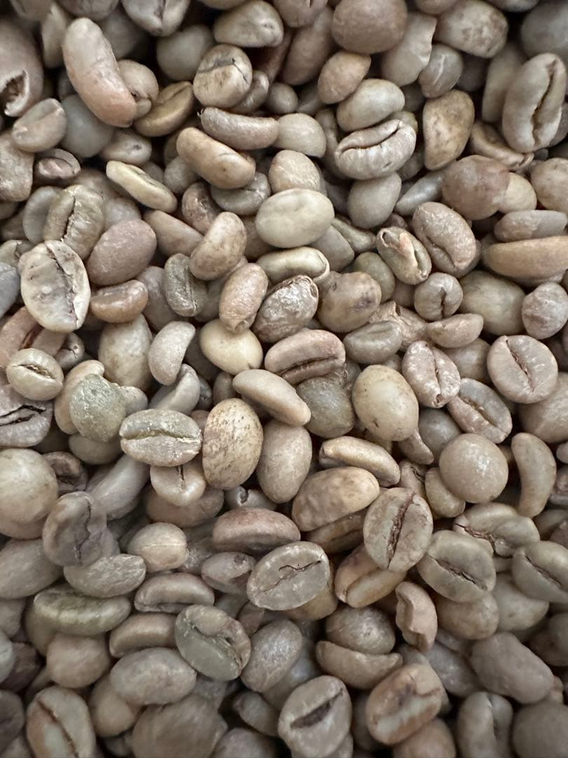 【コーヒー生豆】 ウガンダ/ロブスタ/カウェリエステート/ナチュラル10kg