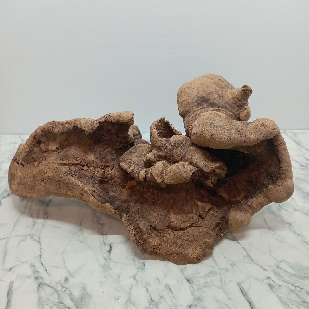 アク抜き済み流木【328】最終価格