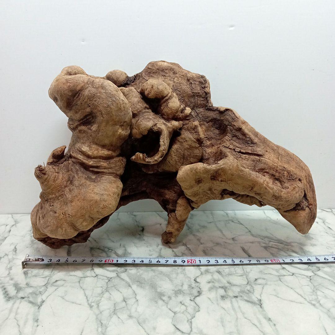 アク抜き済み流木【328】最終価格